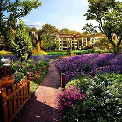 杭州英式風(fēng)格別墅花園8